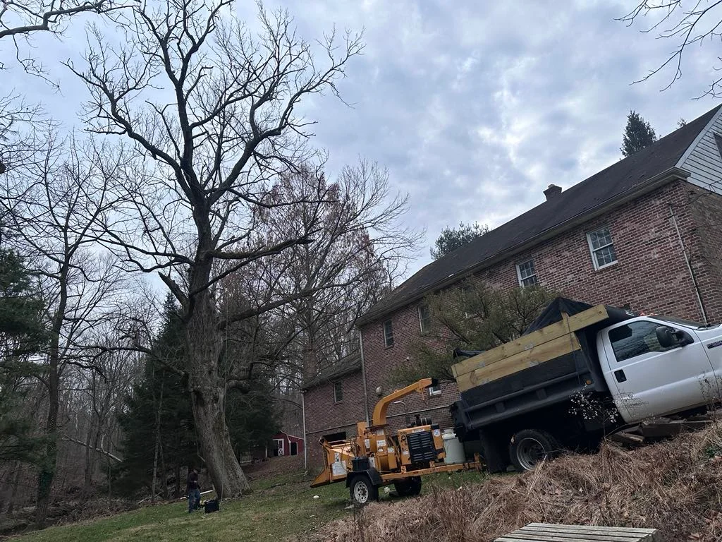 rafaellandscapingllc