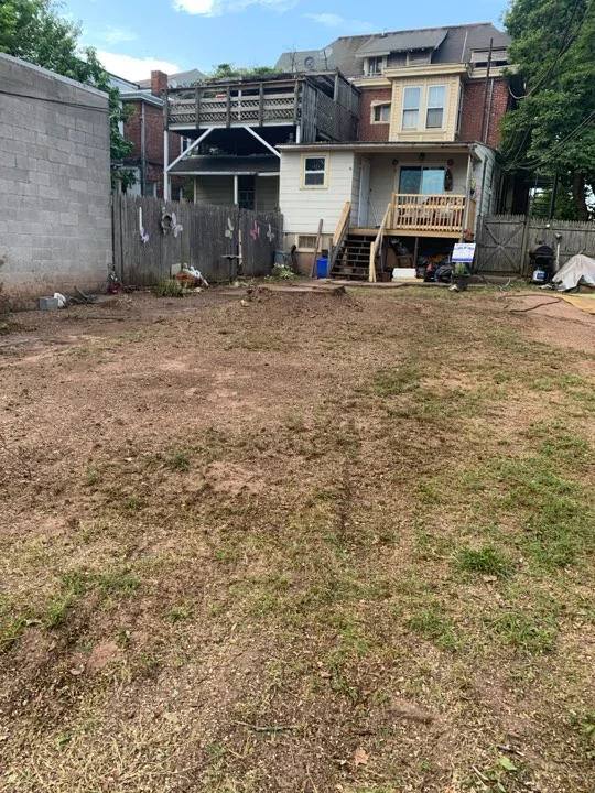 ii-towns-tree-services Image