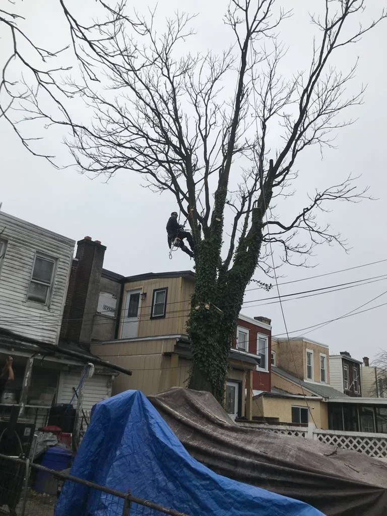 rafaellandscapingllc