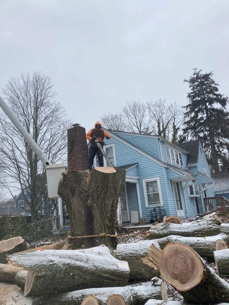 rafaellandscapingllc